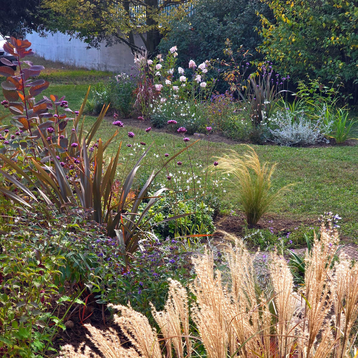 Nel giardino Furlanis, niente cresce da solo