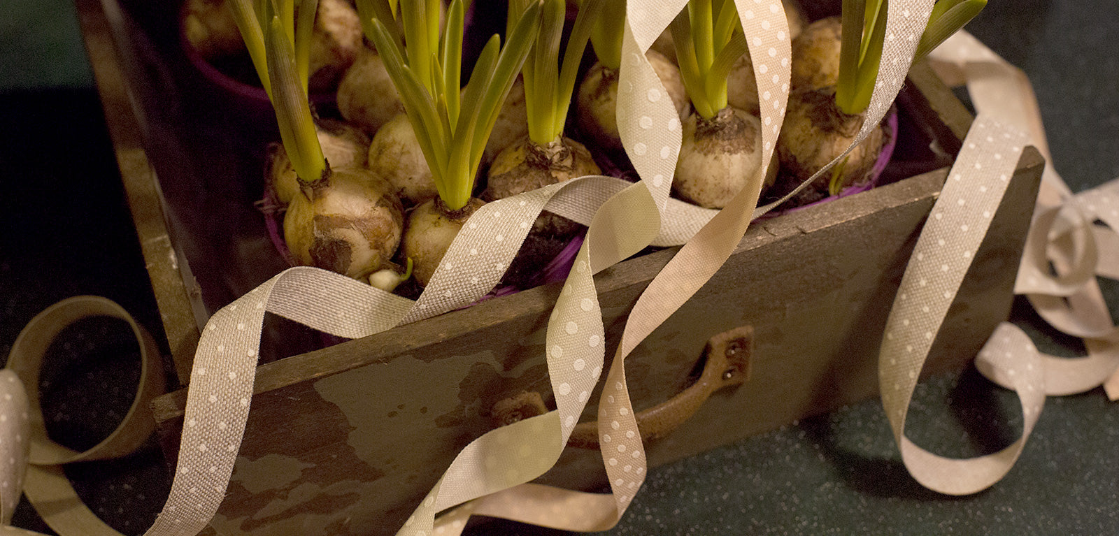 Nastri Stampati e Fantasia