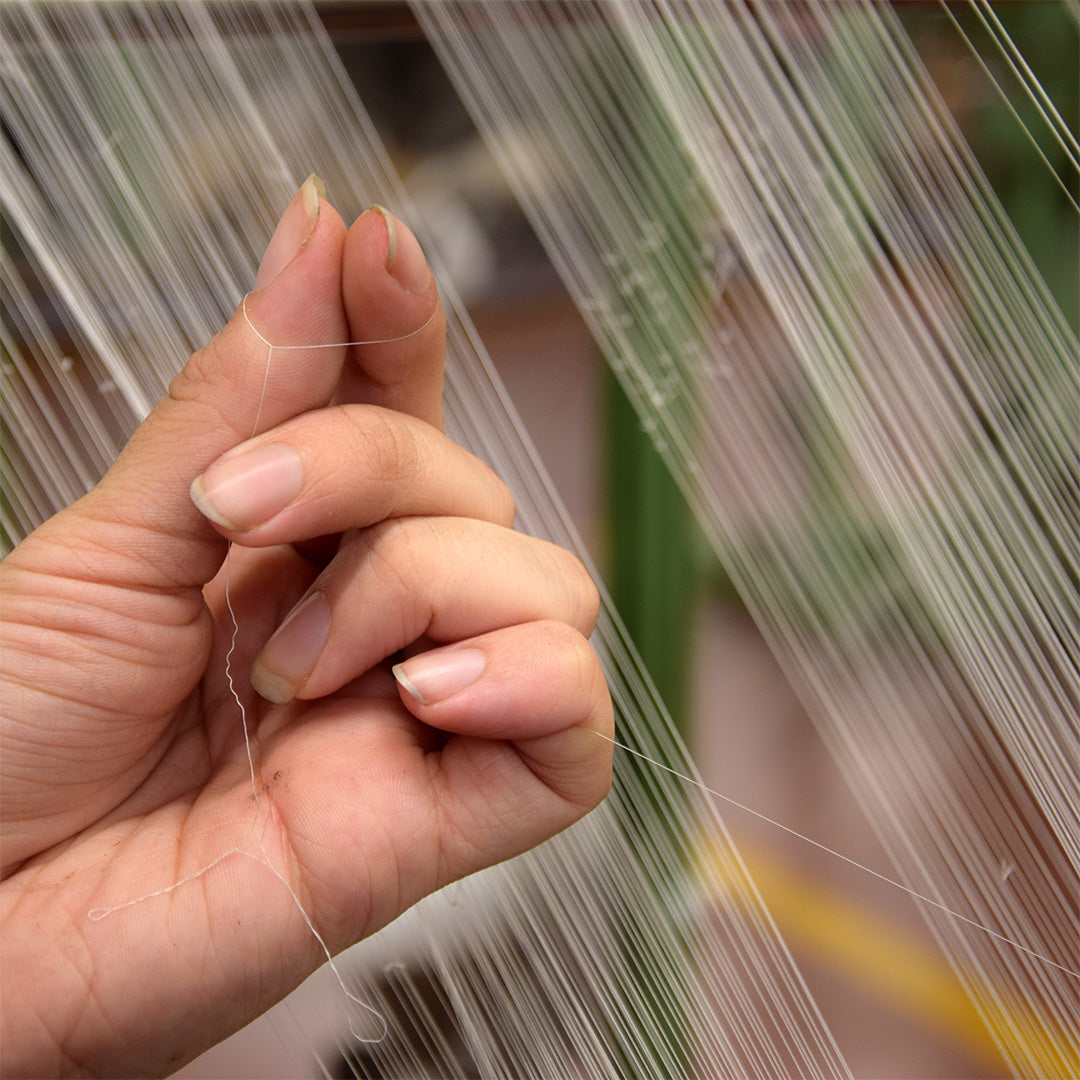 The plots<br> they intertwine