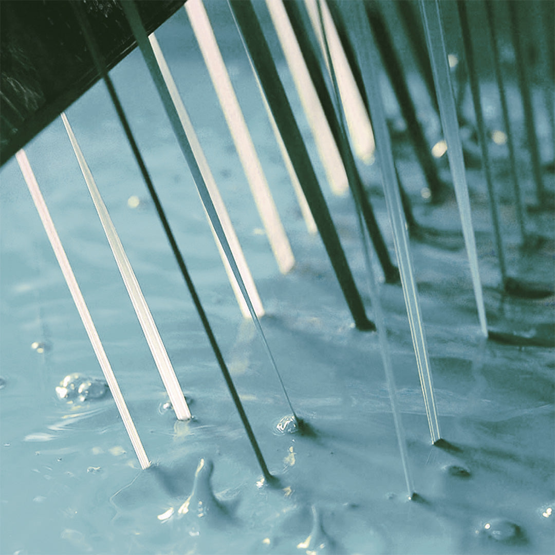 The colors<br> they merge