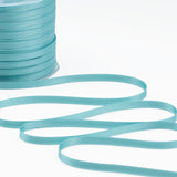 doppio raso 6 mm blu salvia