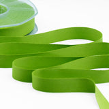 raso seta 15 mm verde pistacchio