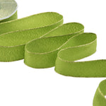 sablè bordi lurex 25 mm verde pistacchio