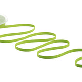 gros grain 6 mm verde pistacchio
