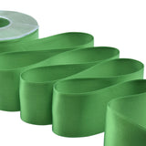 doppio raso 48 mm verde bandiera