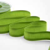 Seta Bordi Rinforzati 25 mm Verde Pistacchio