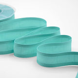 Seta Bordi Rinforzati 25 mm Verde Acqua Marina