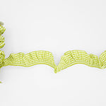 bamby due con elastico 25 mm verde pistacchio